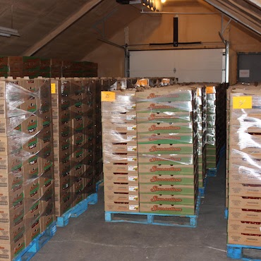 pallets of grape tomatoes packed and ready to ship