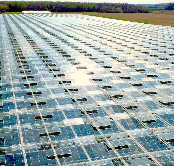 an overhead shot of a 22 acre greenhouse in Exeter