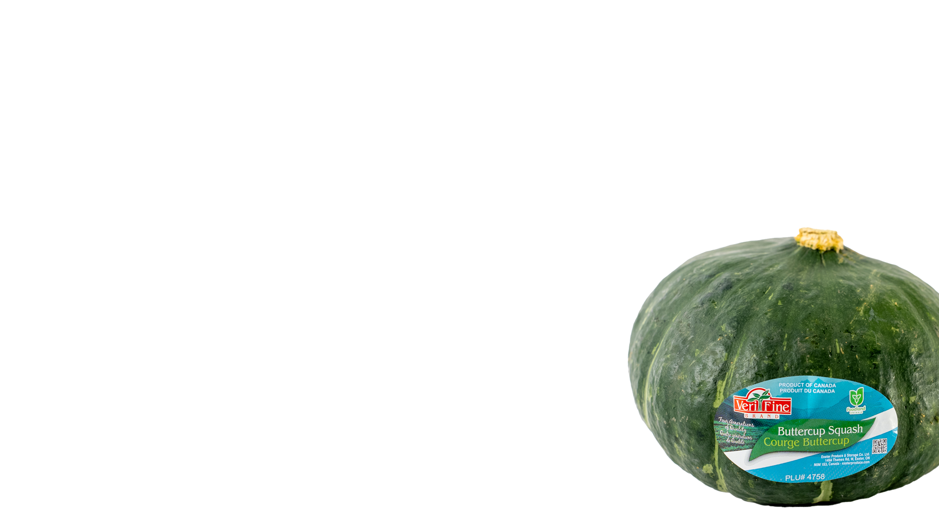 a lovely bunch of asparagus