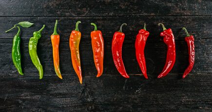 Hot Pepper Heat Scale and the Scoville Scale