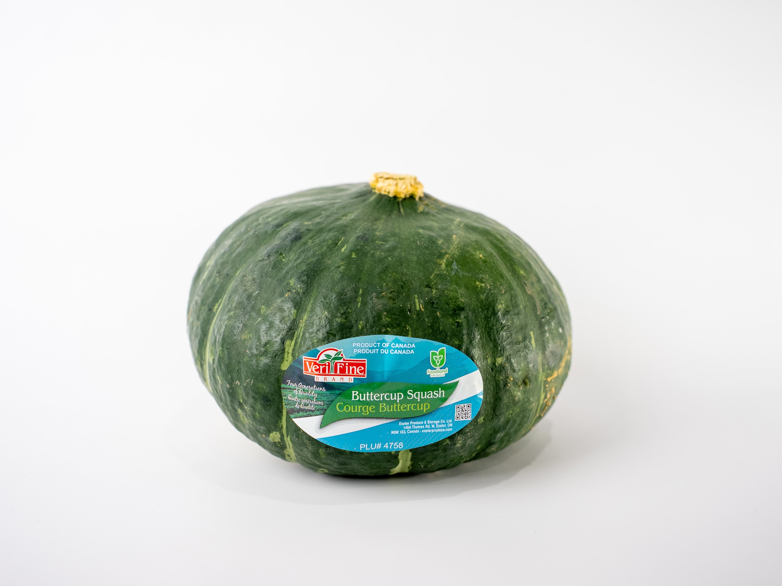 Squash is in full volume!