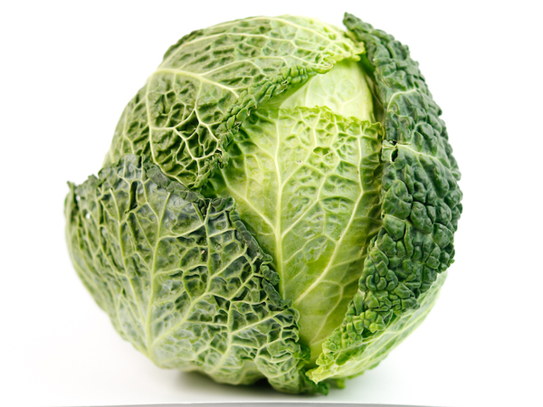 Savoy Cabbage