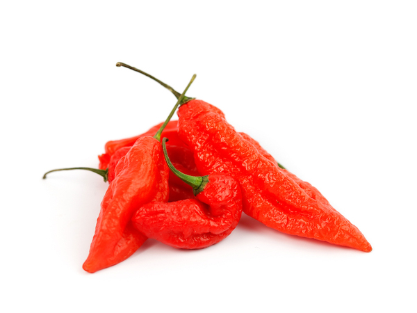 Ghost Pepper