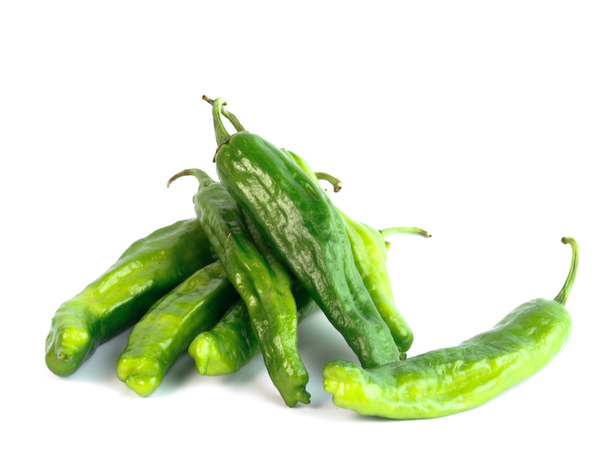 Shishito Pepper