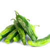 Shishito Pepper