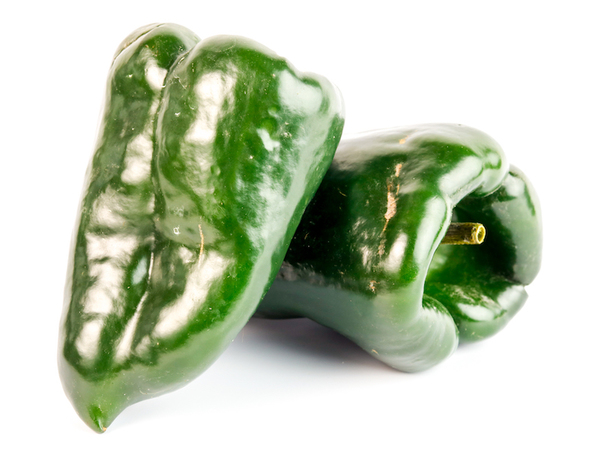 Poblano Pepper