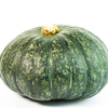 Buttercup Squash