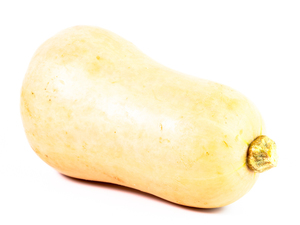 Butternut Squash