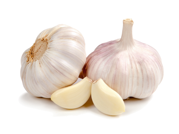Garlic 