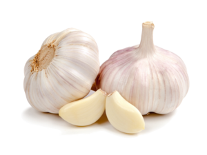 Garlic 