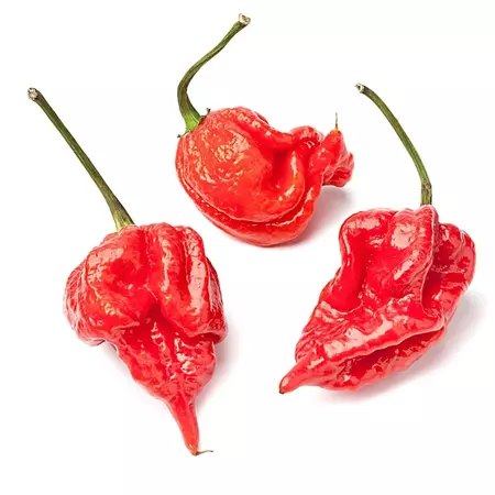 Scorpion Pepper 
