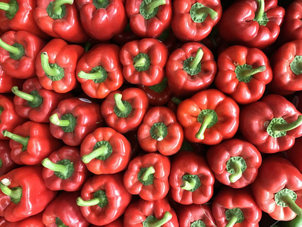 Red Bell Pepper