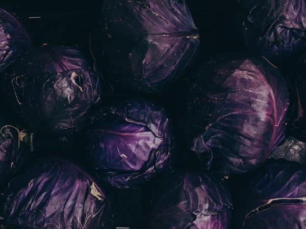 Red Cabbage