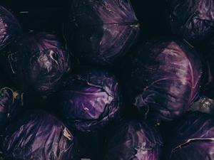 Red Cabbage