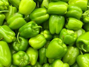 Green Bell Pepper