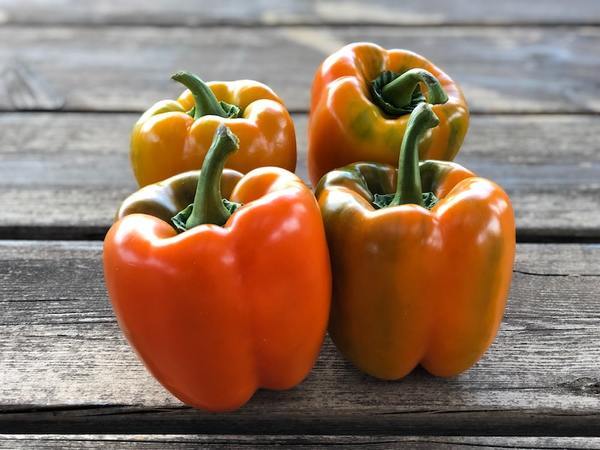 Orange Bell Pepper