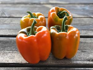 Orange Bell Pepper
