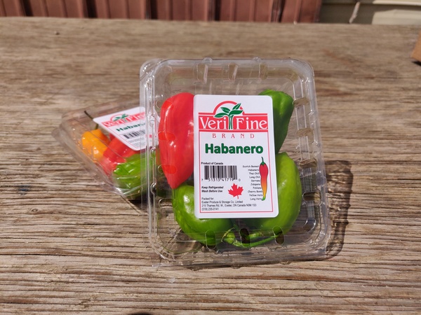 Habanero Pepper