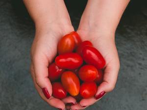 Grape Tomato