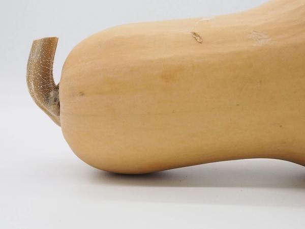 Butternut Squash
