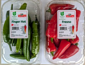 Finger Hot Pepper
