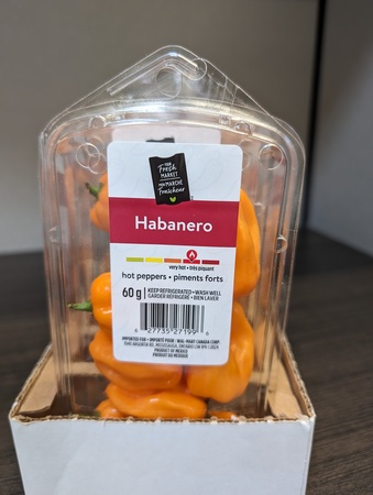 Habanero Pepper
