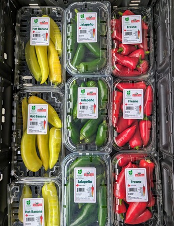 Fresno Pepper