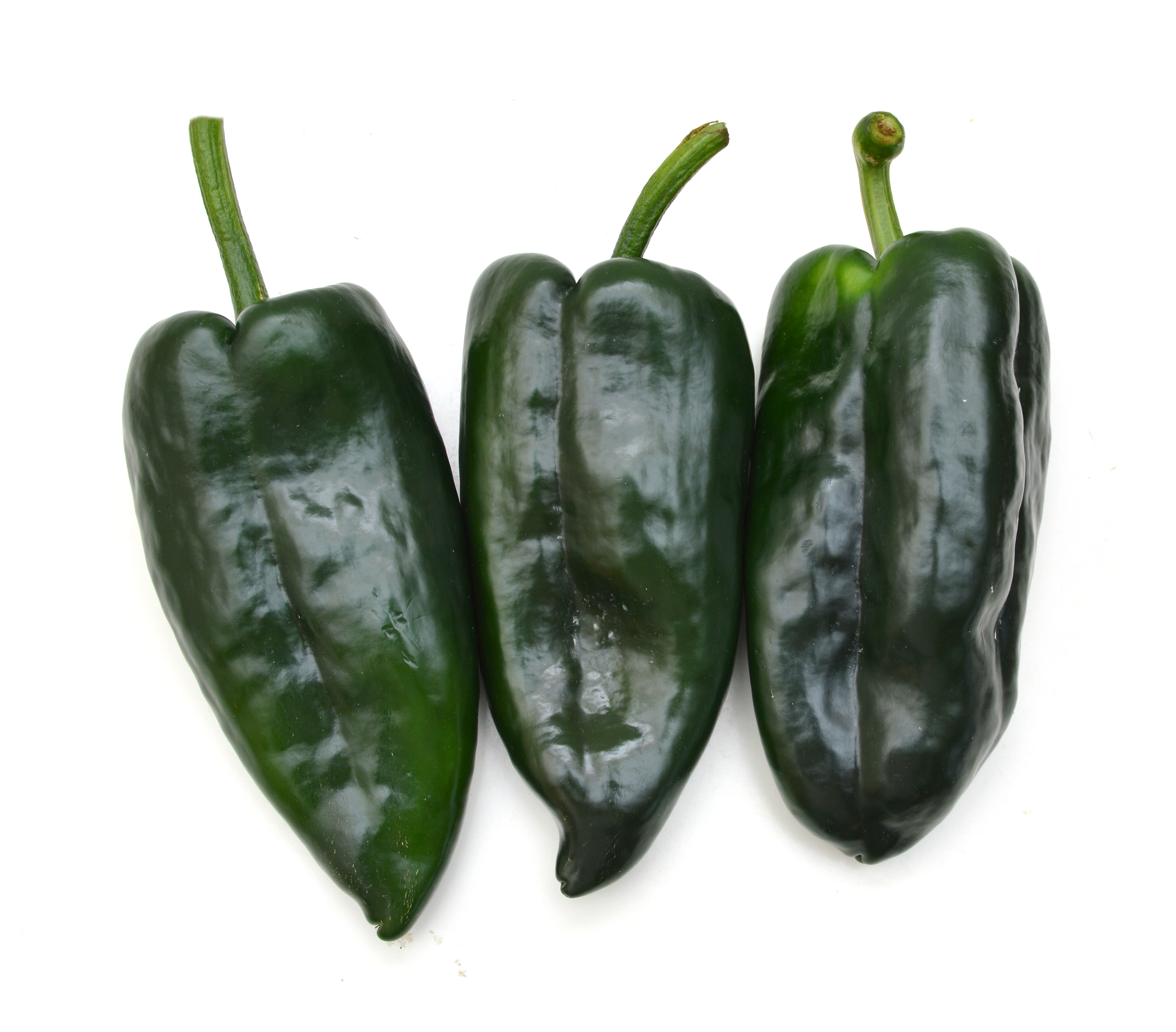 Stuffed Poblano Peppers